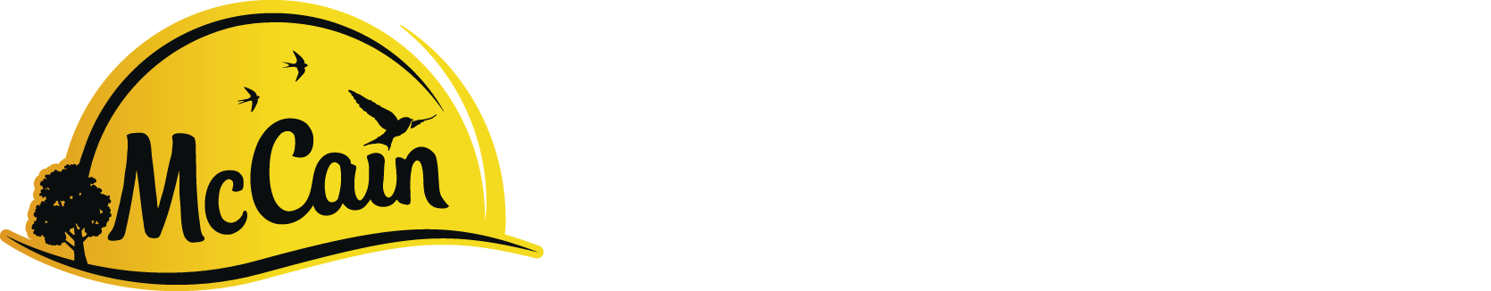 McCain Logo